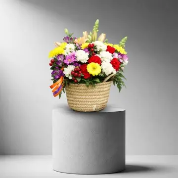 Rainbow Basket (Normal)