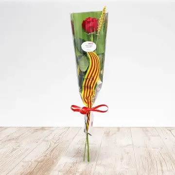 Santa Jordi Rosa