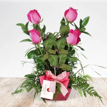 Cuatro Rosas
