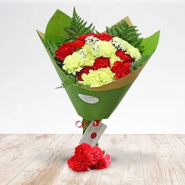 Bouquet of carnations (Normal)