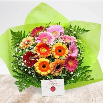 Gerberas bouquet (Normal)
