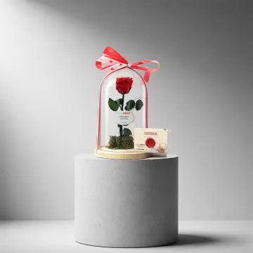 La Bella y la Bestia Rosa