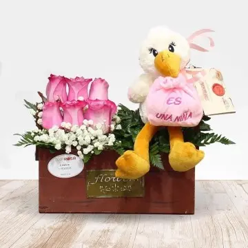 Primer jardín rosa