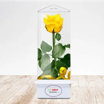 Rosa Eterna TriEternidad