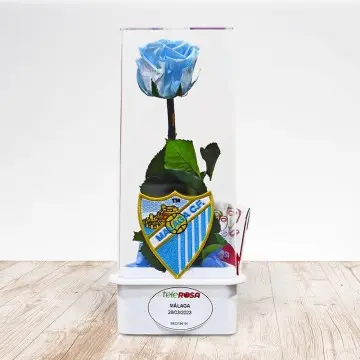 Rosa eterna MLG