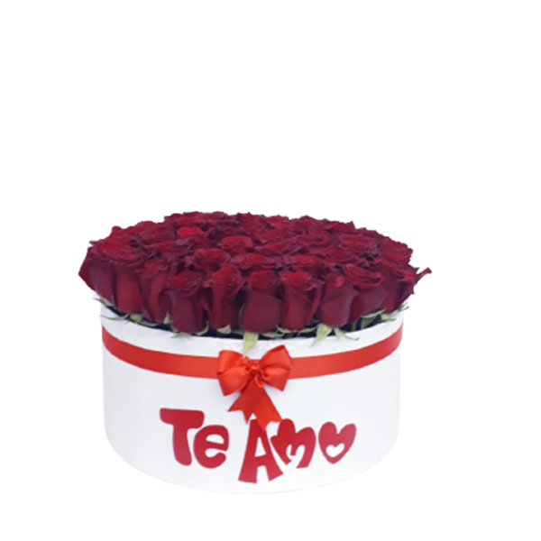 amr0187 (pequeño)