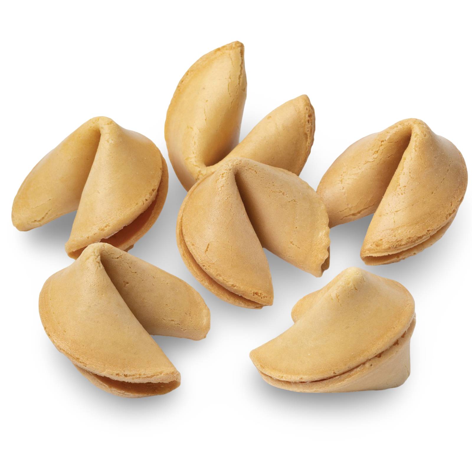 Galletas de la fortuna de vainilla gourmet sencillas - Individual
